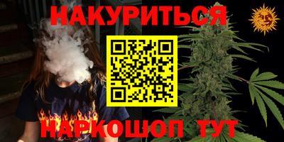 сатива Можайск